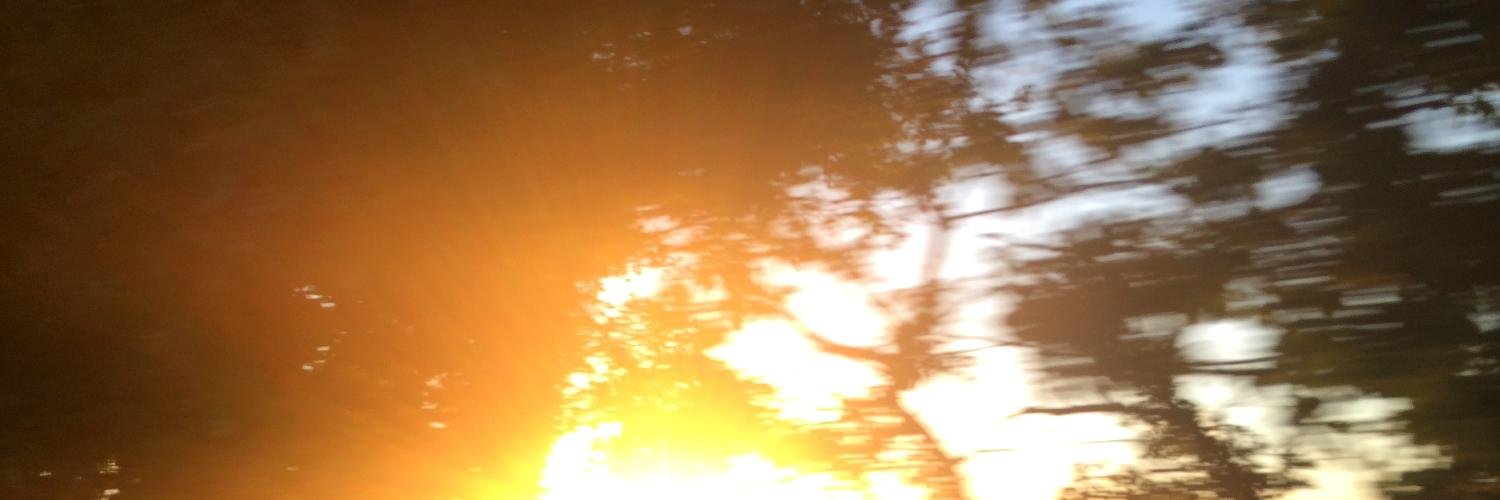 Sindre Østgård banner