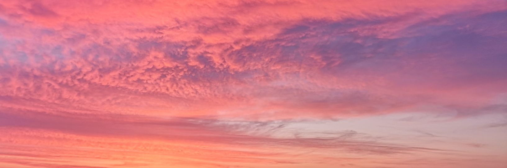 The_riddim's profile banner image