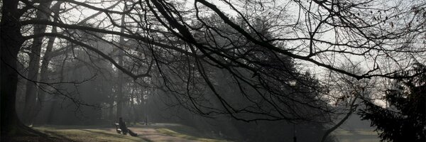 Krishnafred Profile Banner