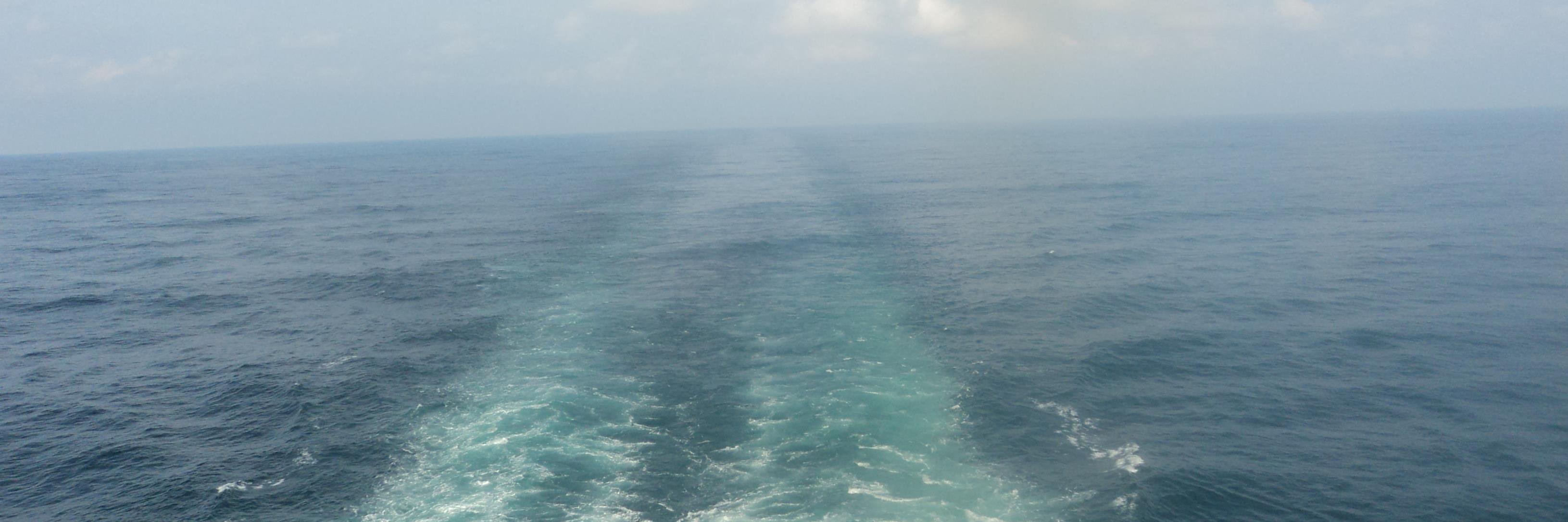 digemmaana's profile banner image