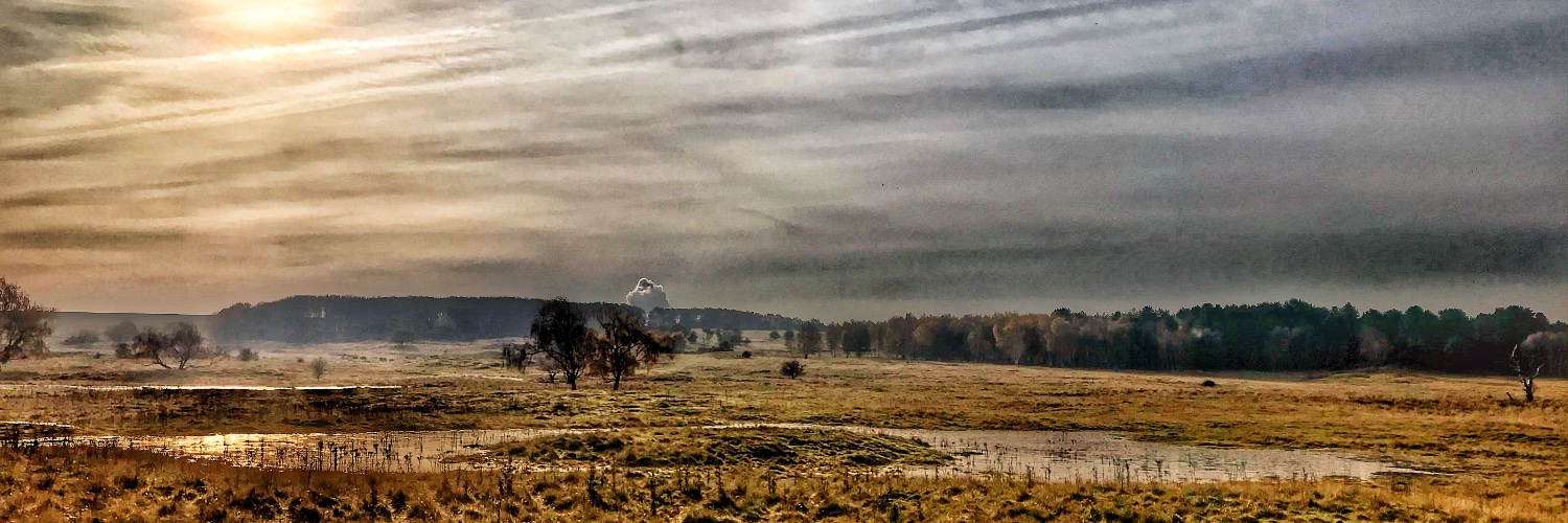 chris.hockaday@ntlworld.com banner