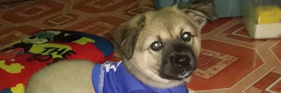JhayehmF's profile banner image