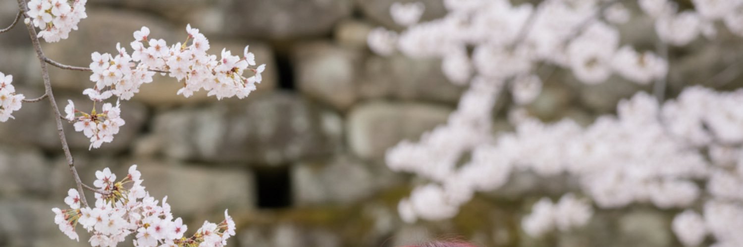 1NPOFF's profile banner image