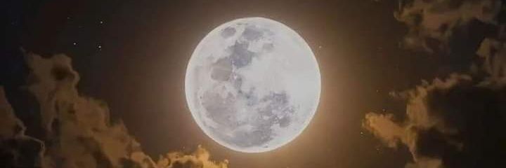 Muzi_N's profile banner image