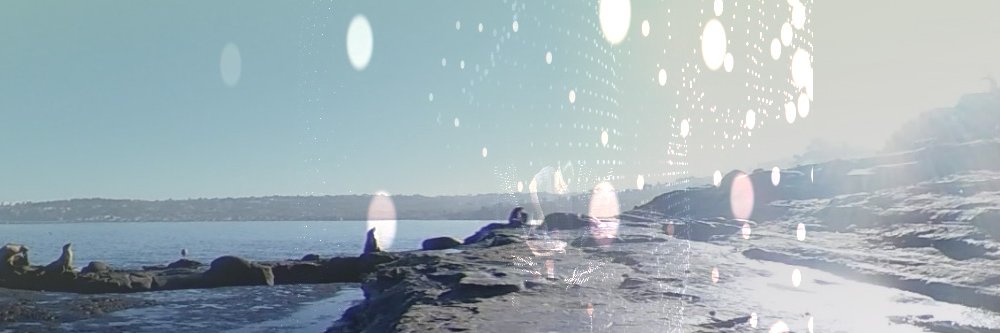 Catherine.Eng banner