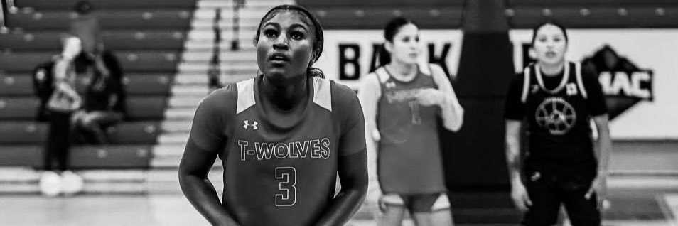 Diamond Stevenson banner