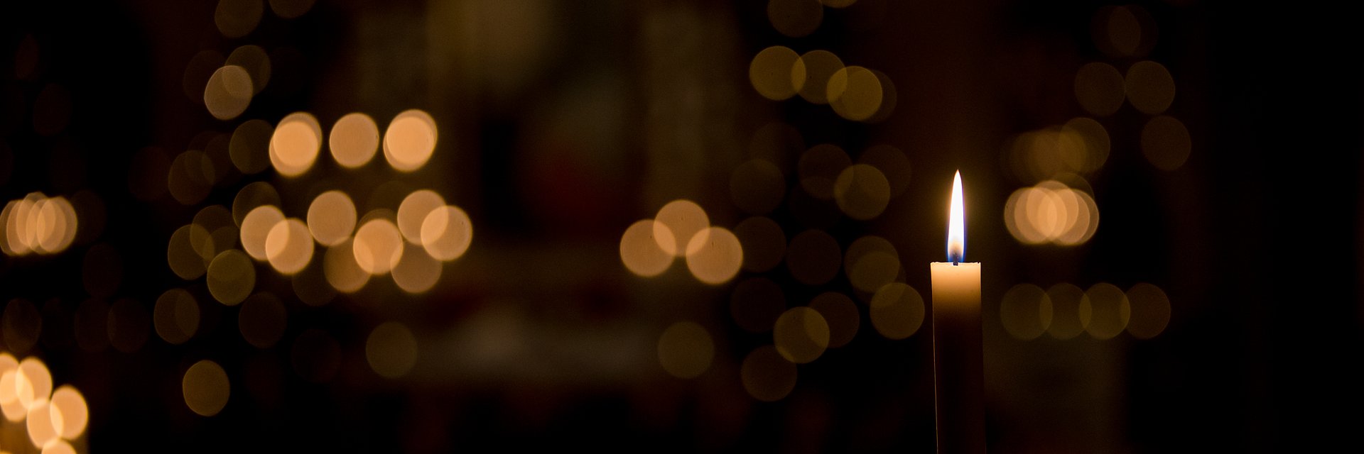 percarls's profile banner image