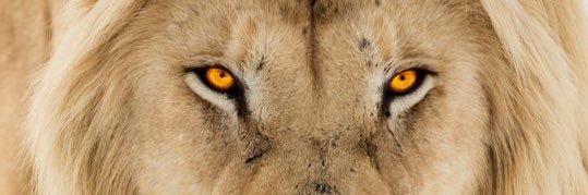 MarreAq's profile banner image