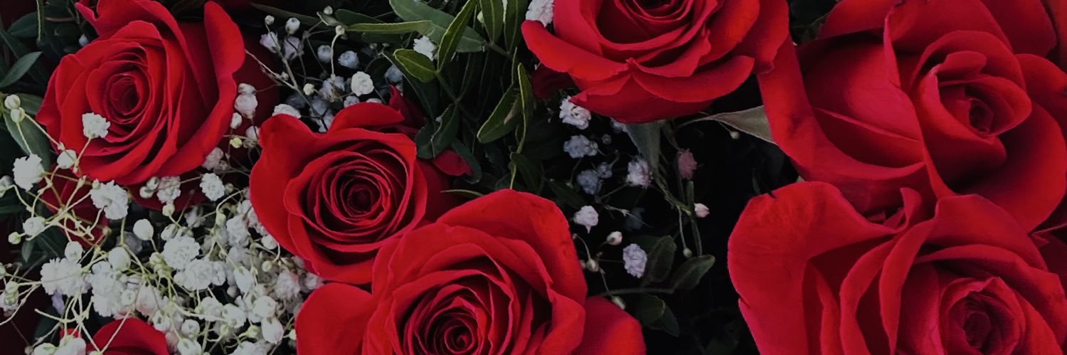 daaravidaaal's profile banner image