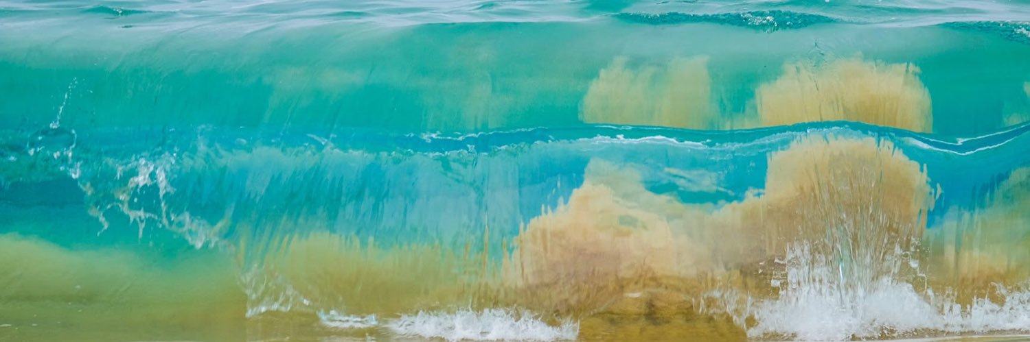 Katherine Podraza, MD PhD banner