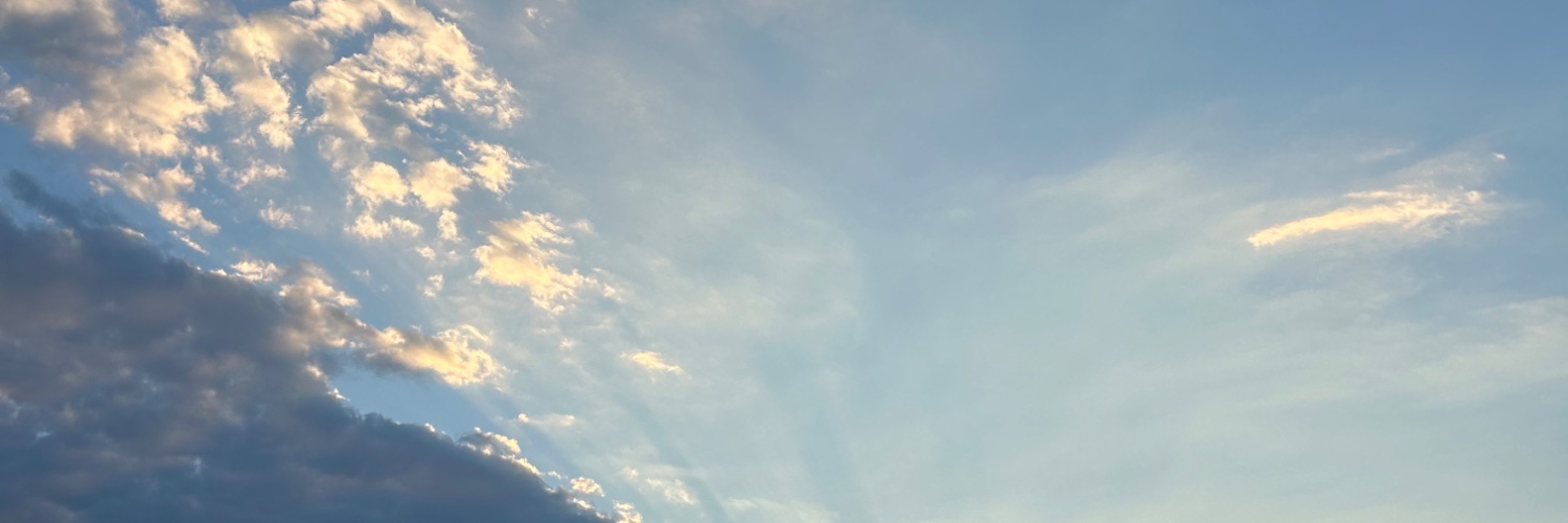 AraceliCaraveo's profile banner image
