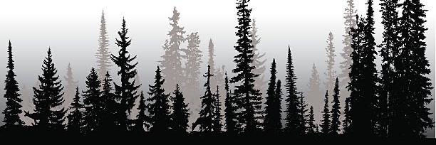 BuckCrypto10's profile banner image