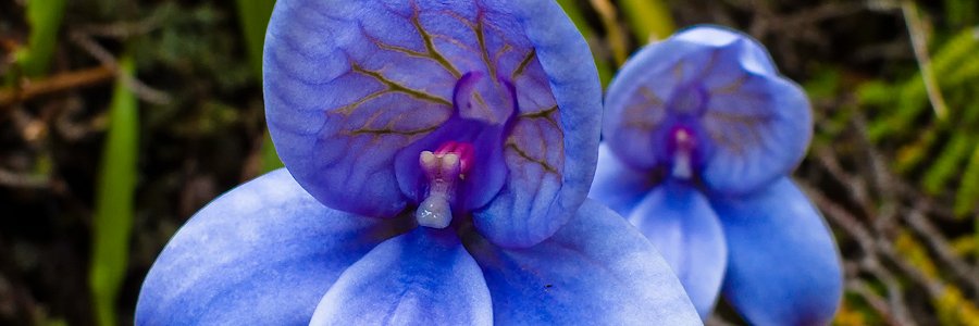 AgnesH88's profile banner image