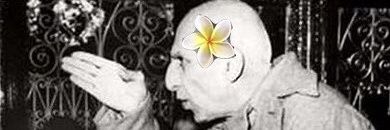 مظنون همیشگی banner