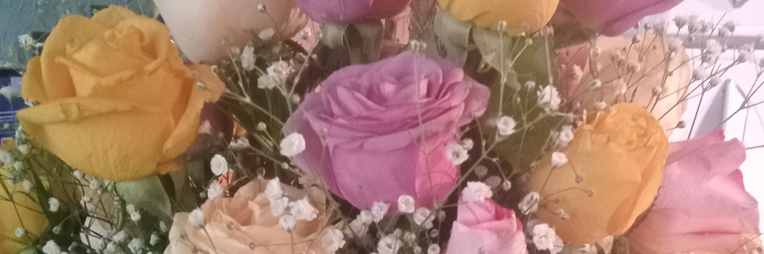 EloisaNavarret3's profile banner image