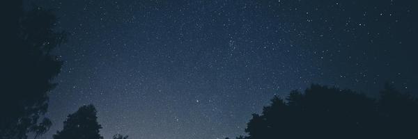 bradflora Profile Banner