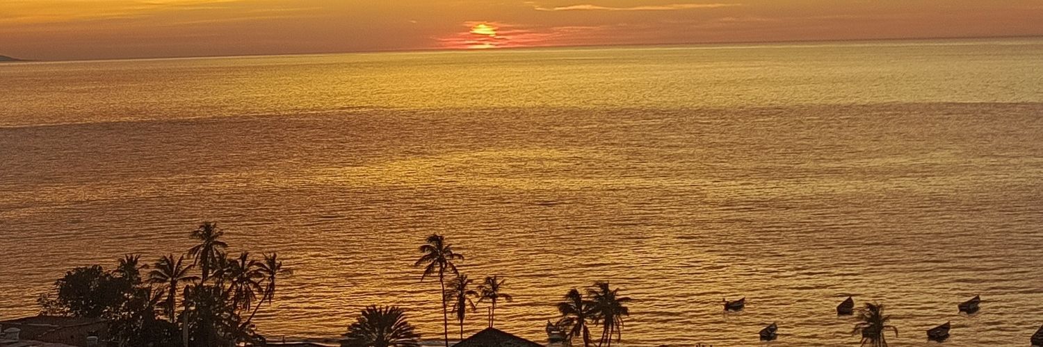 EstefaniaVasco's profile banner image
