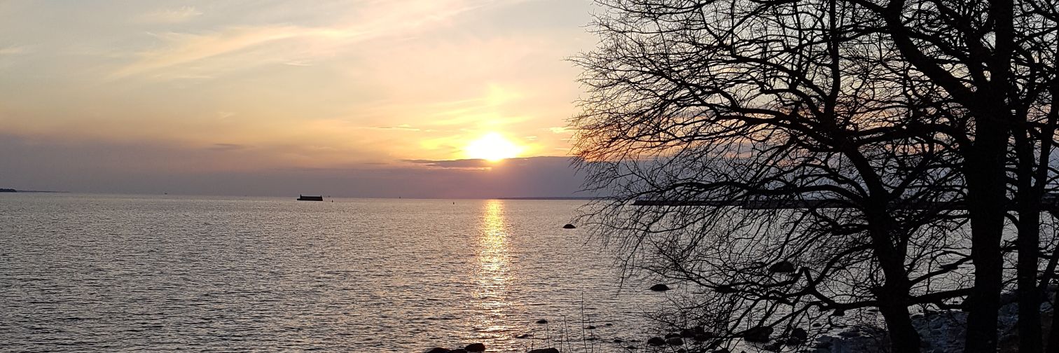 Deborah Masson 🐝 banner