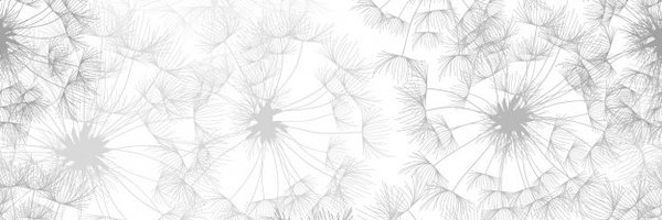 LibrefeministaE Profile Banner