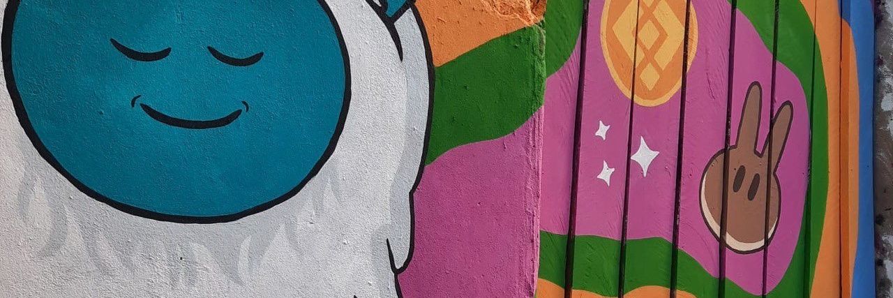 anuchvsz's profile banner image