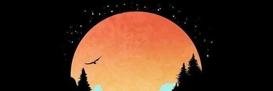 iremkrds's profile banner image