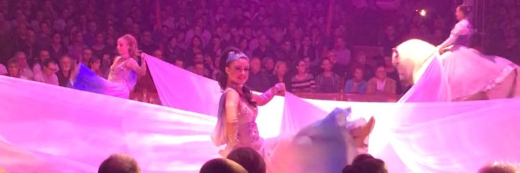 megandance95's profile banner image