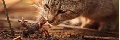 JenniferF's profile banner image