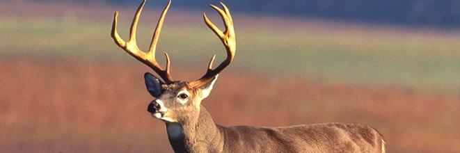 HuntingWorks4PA's profile banner image