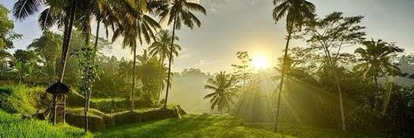 enterdeeper Profile Banner