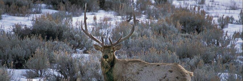 HuntingWorks4UT's profile banner image
