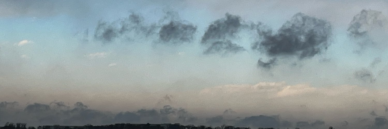 Michael Draznin banner