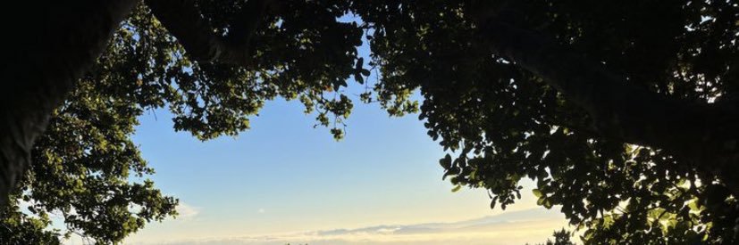 icuvvv's profile banner image