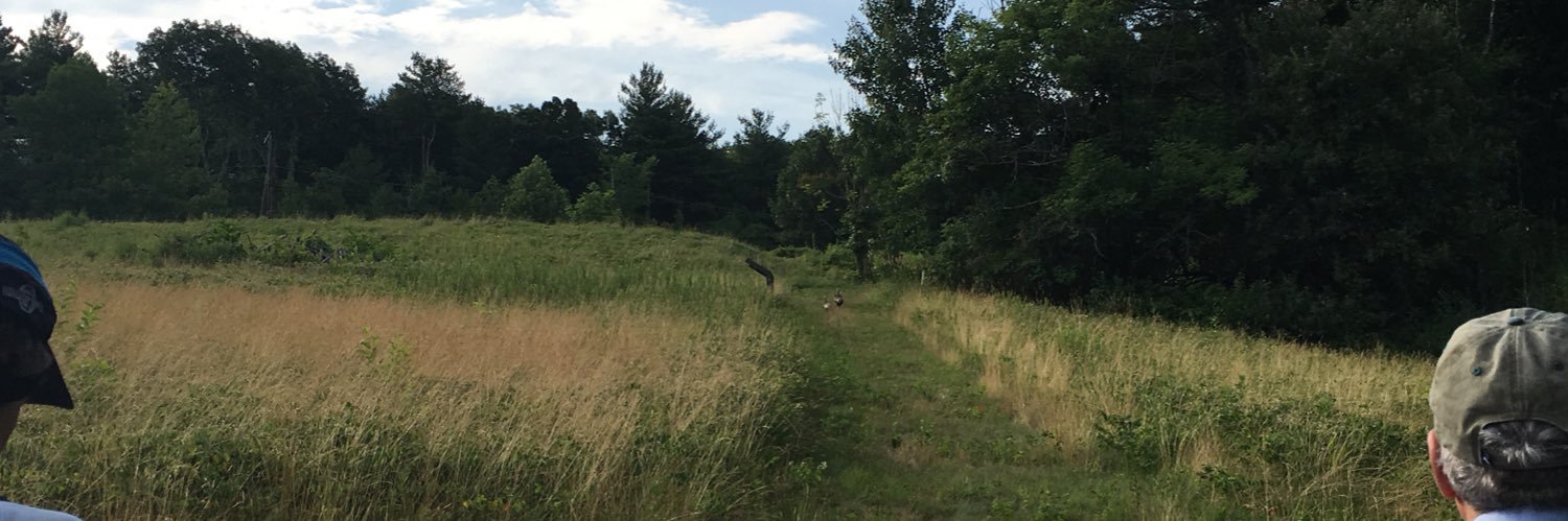 Cassandra Oxley banner