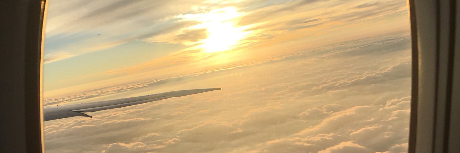 priimaldonado_'s profile banner image