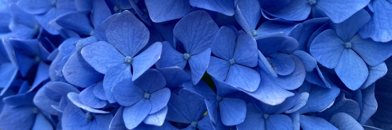 yocc0's profile banner image