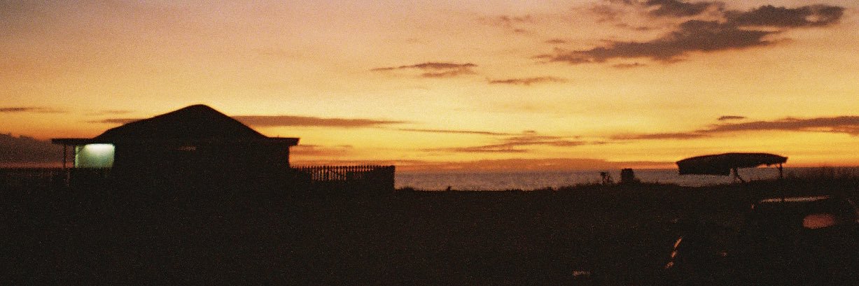 lynne’s son banner