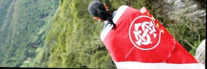 liaandrighetto's profile banner image