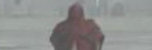 Beached_Thang Profile Banner