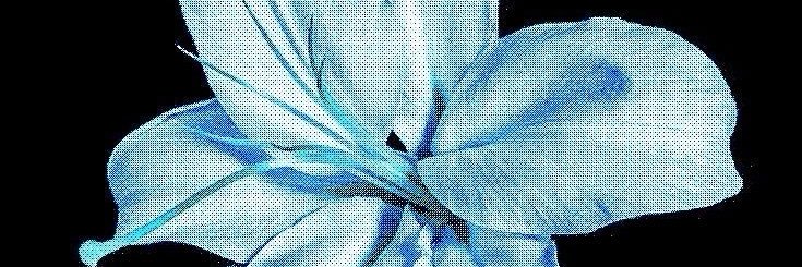 slugs_mp4's profile banner image