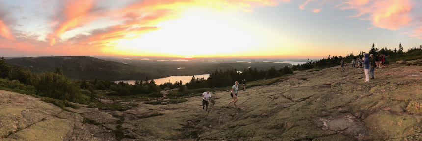 ligaya turmelle banner