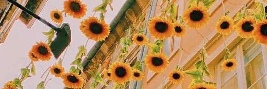 Smuva_Muva's profile banner image