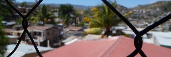 grootles Profile Banner