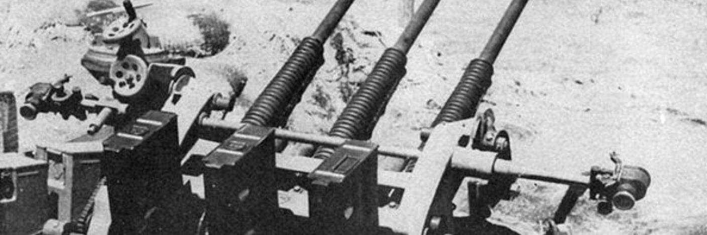 西向くサムライ（歴史家） banner