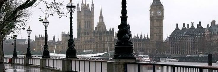 latteracano's profile banner image