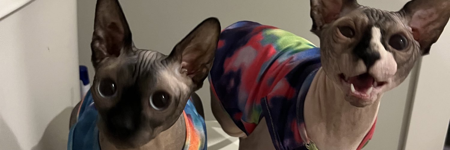 haileyhoward44's profile banner image