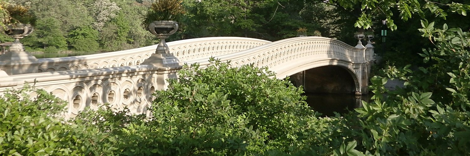 Manhattan Bird Alert banner