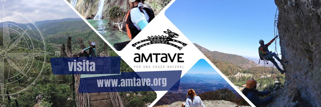 AMTAVE banner