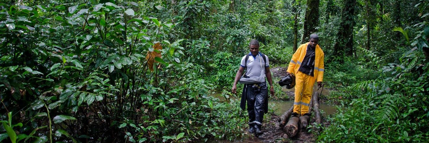 Last Mile Health banner