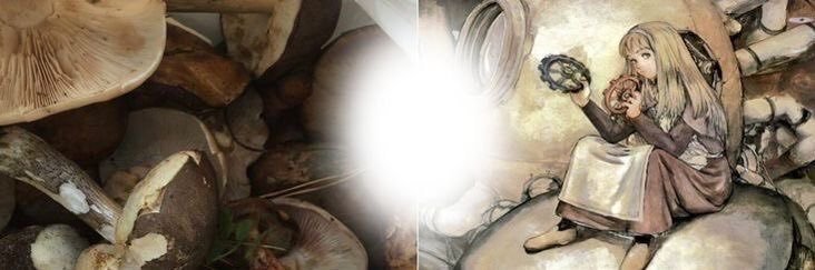 ️️️️َ banner