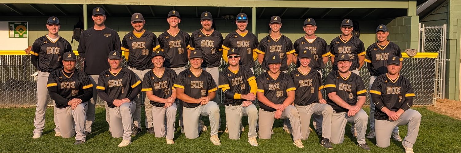 Lamberton Longsox banner